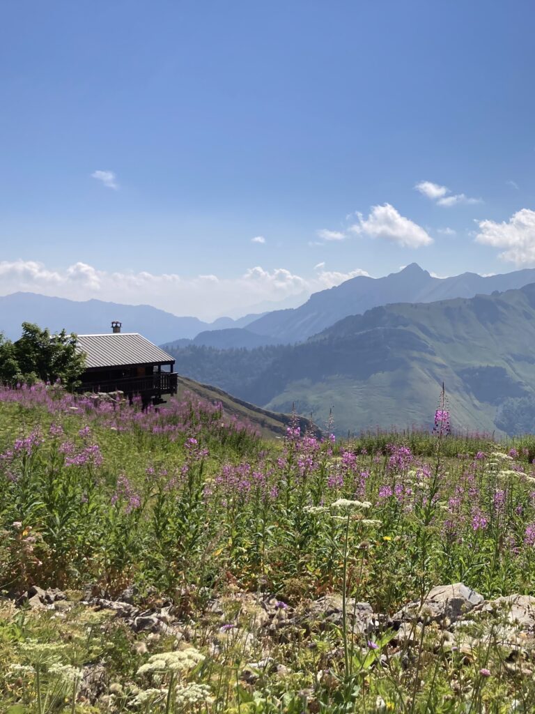 Paysage dans les Beauges