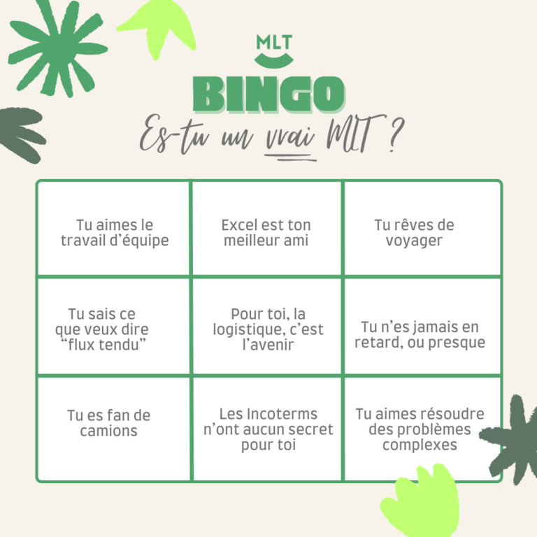 "es-tu un vrai MLT" Bingo