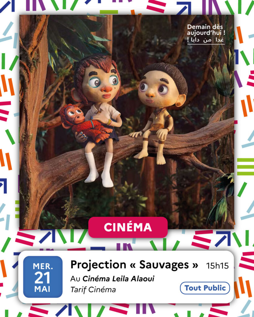 Projection-Sauvages